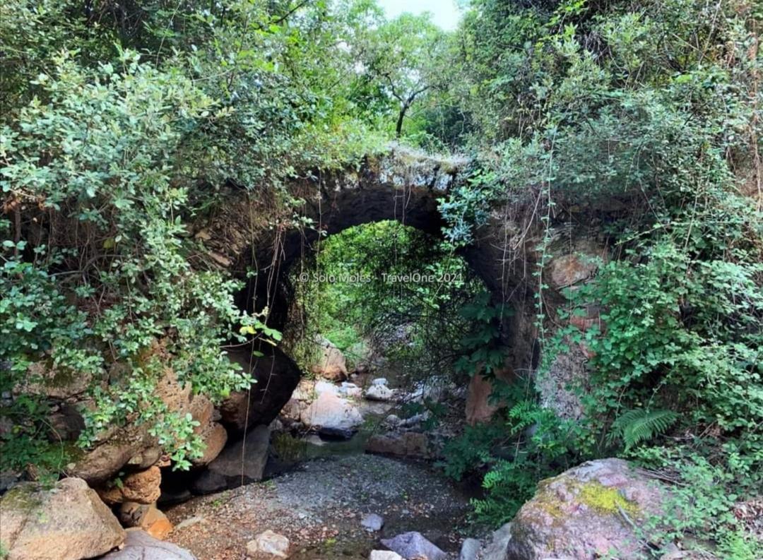 S'orrosa Bifamiliare In Montagna Panorama Stupendo Sardegna