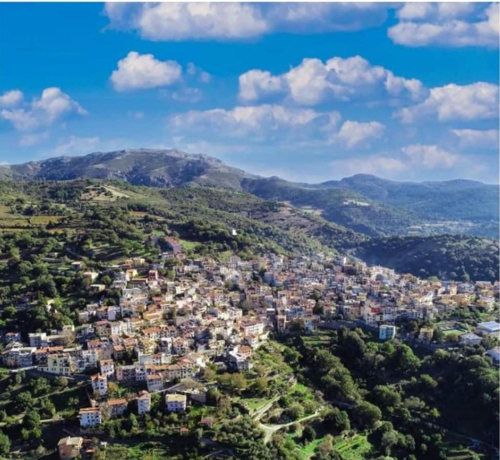 S'orrosa Bifamiliare In Montagna Panorama Stupendo Sardegna *