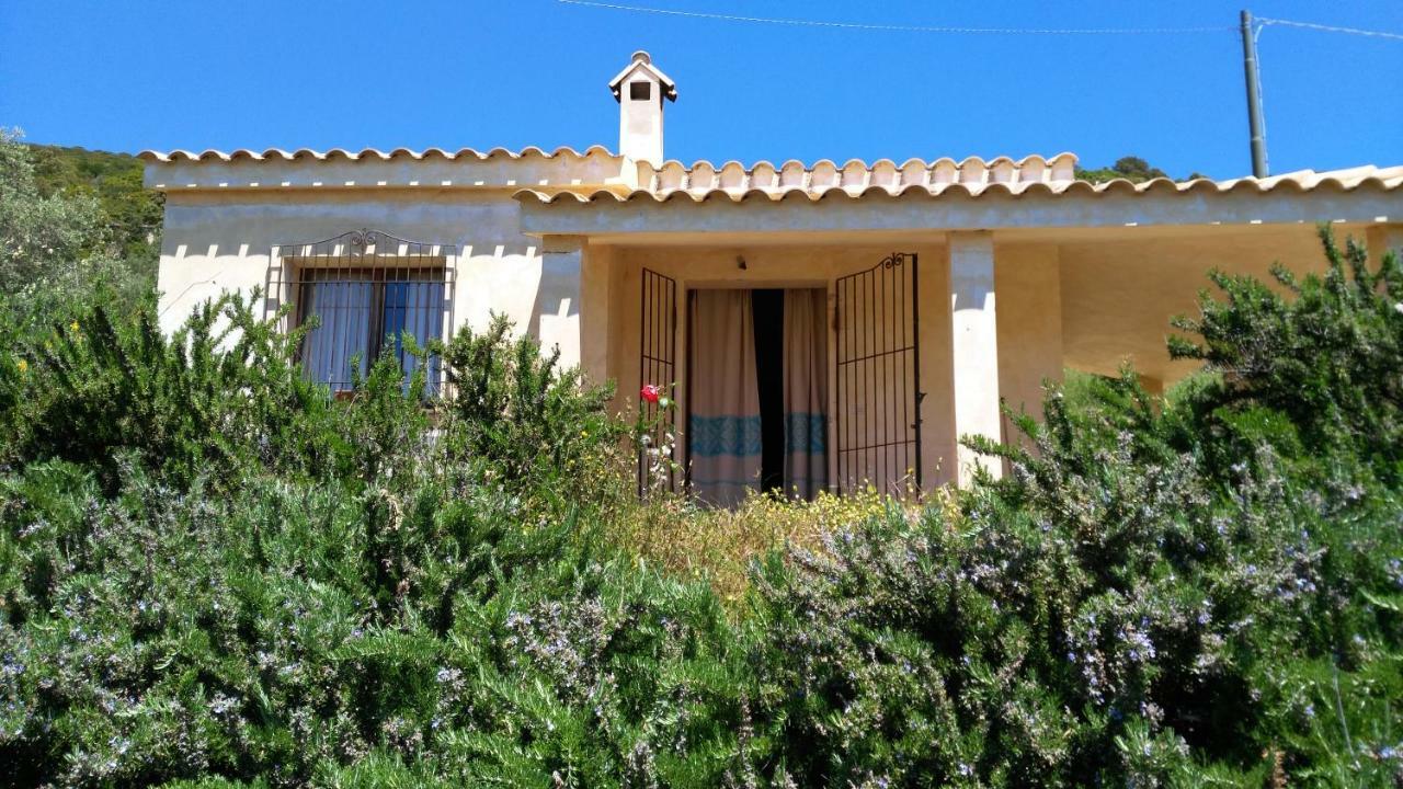 S'orrosa Bifamiliare In Montagna Panorama Stupendo Sardegna *