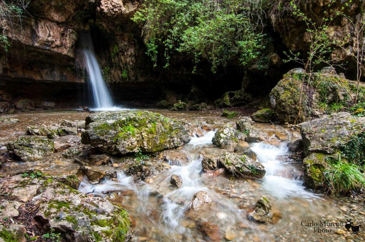 S'orrosa Bifamiliare In Montagna Panorama Stupendo Sardegna *