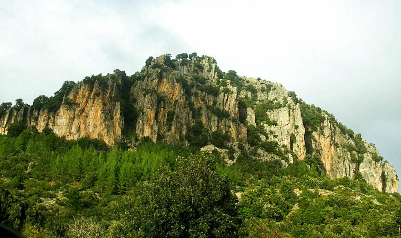 S'orrosa Bifamiliare In Montagna Panorama Stupendo Sardegna